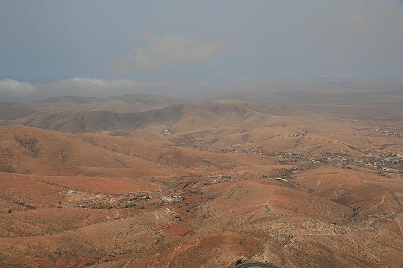 Kanary_2010 169